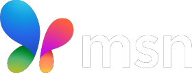 MSN Logo