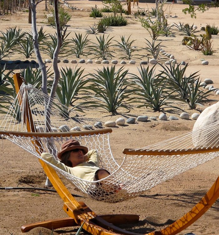 Basking in the Baja Yoga Retreat