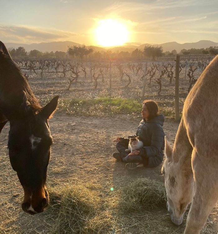 YOGA AND HEALING WITH HORSES RETREAT